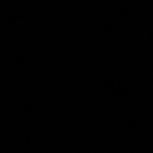 Meet your Posher, Cam